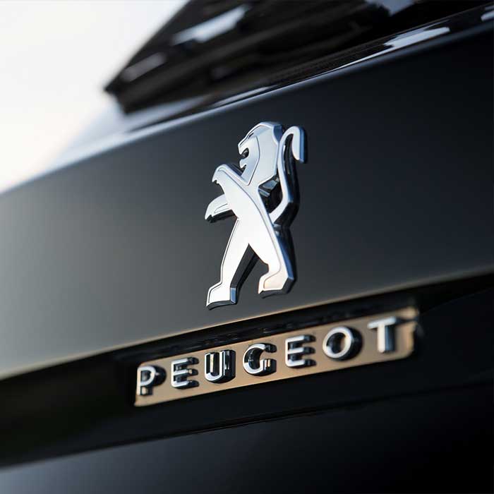 Ремонт Peugeot во Фрунзенском районе